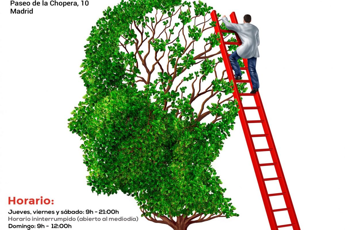 CARTEL-MERCADILLO-APANEFA