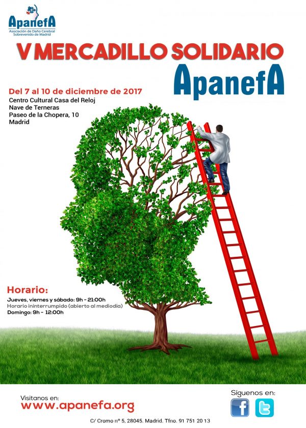 CARTEL-MERCADILLO-APANEFA