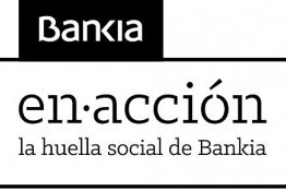 Anexo-C-Logo-Bankia-en-Accion-300×175