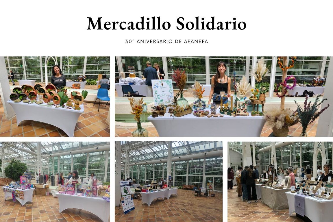 Mercadillo portada
